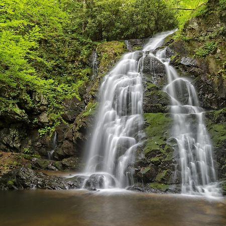 Apple Valley Hideaway, 1089 Of Free Attraction Tickets For Each Paid Day, Dollywood And More! Pigeon Forge Zewnętrze zdjęcie