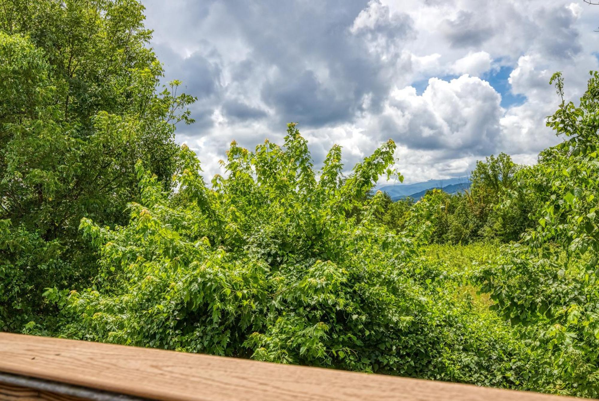 Apple Valley Hideaway, 1089 Of Free Attraction Tickets For Each Paid Day, Dollywood And More! Pigeon Forge Zewnętrze zdjęcie