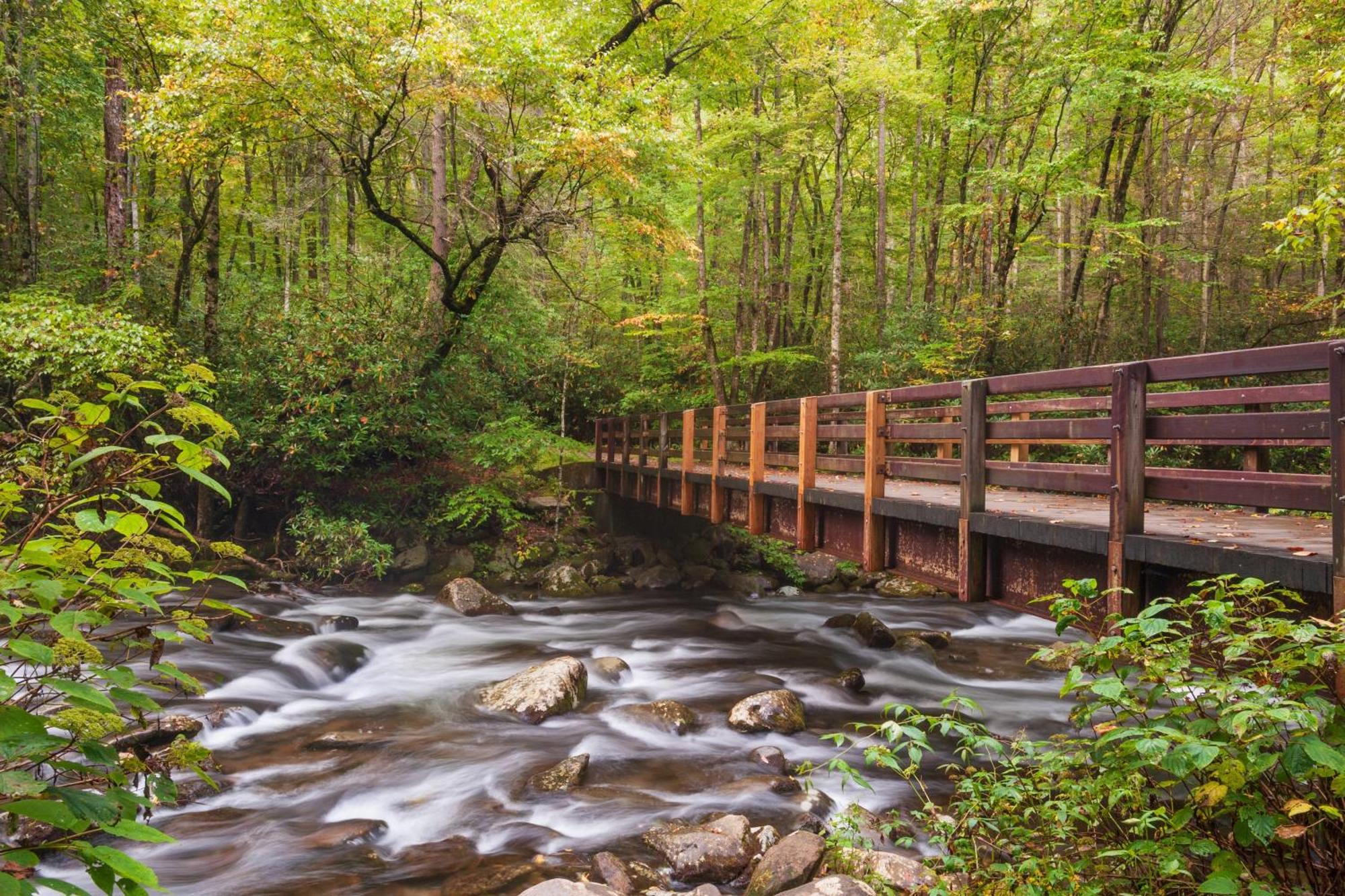 Apple Valley Hideaway, 1089 Of Free Attraction Tickets For Each Paid Day, Dollywood And More! Pigeon Forge Zewnętrze zdjęcie