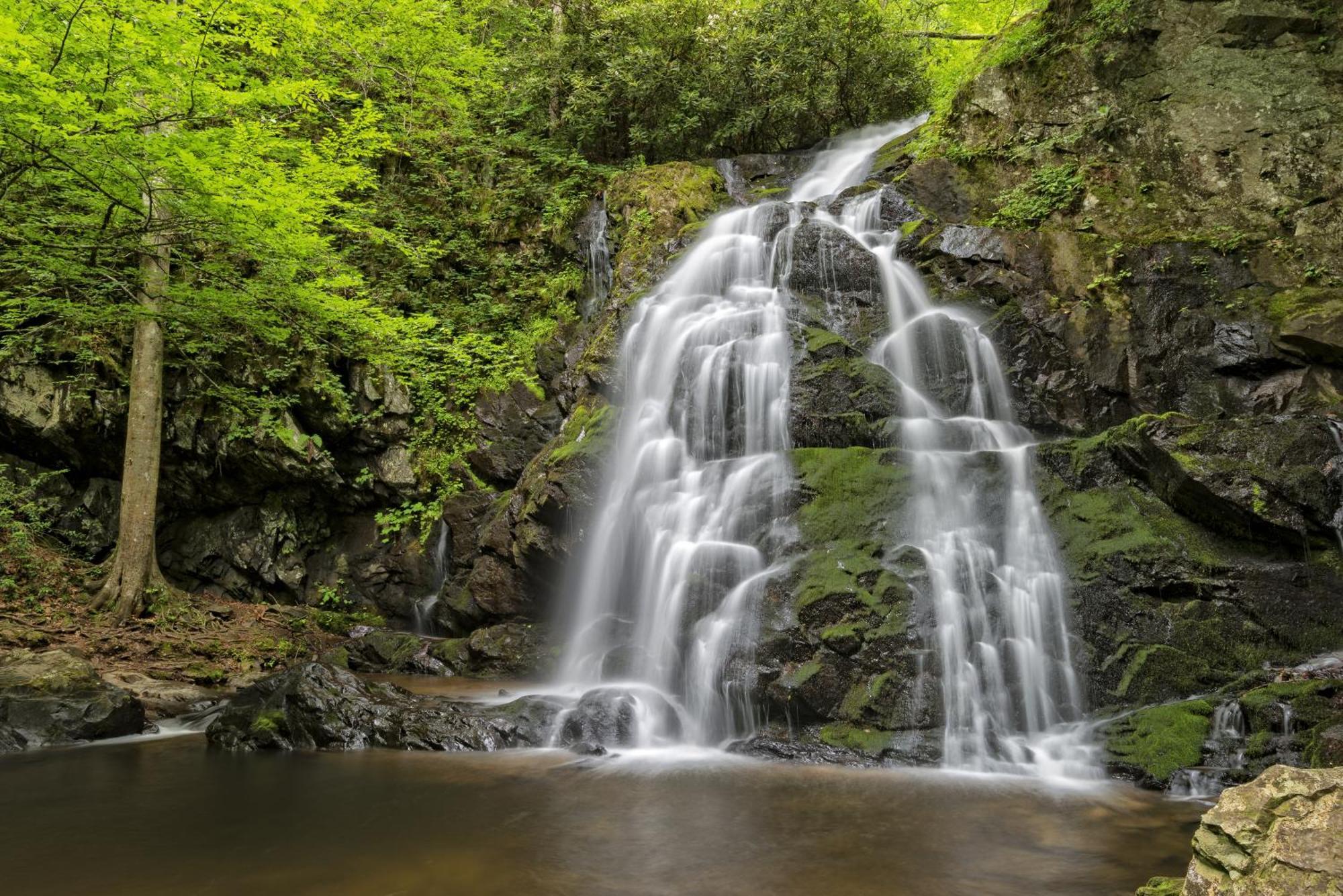 Apple Valley Hideaway, 1089 Of Free Attraction Tickets For Each Paid Day, Dollywood And More! Pigeon Forge Zewnętrze zdjęcie